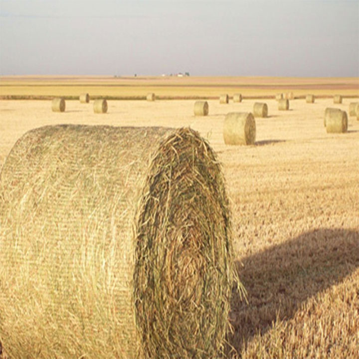 HDPE Biodégradables Bale vlope nèt pou Agrikilti